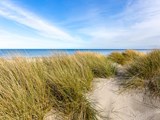 Ålbæk strand er slet ikke til at komme uden om, når turen går til Lodskovvad