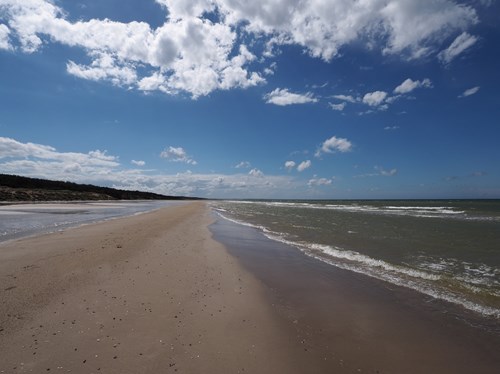 En skøn sommerdag ved stranden i Skiveren