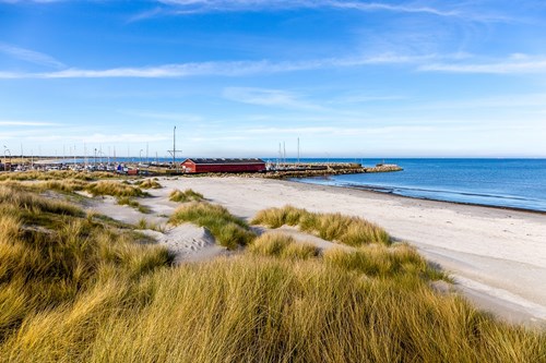 Stranden ved Ålbæk