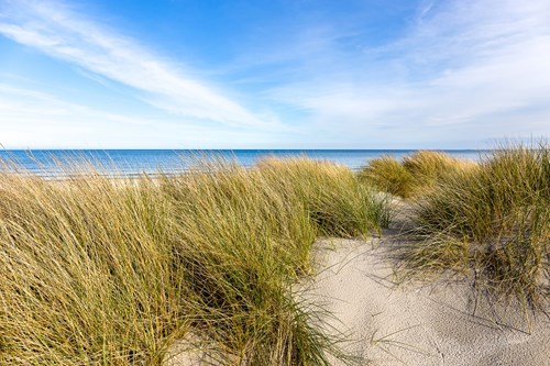 Ålbæk strand er slet ikke til at komme uden om, når turen går til Lodskovvad